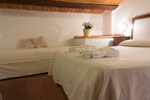 Bed & Breakfast Casale Torre San Magno