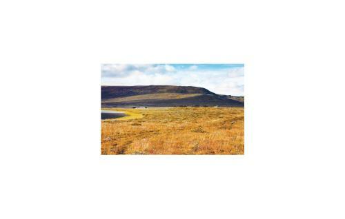 Holiday Home Heidal Bakketun