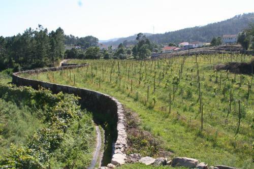 Agroturismo Estabulo De Valinhas