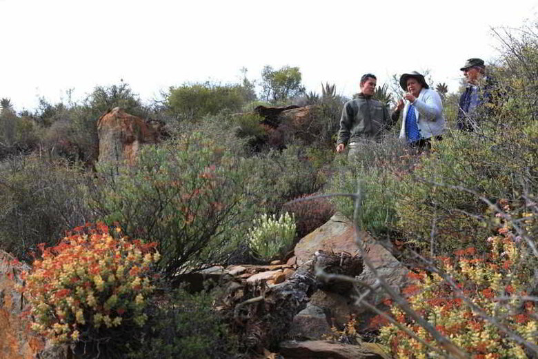 Madi-madi Karoo Safari Lodge