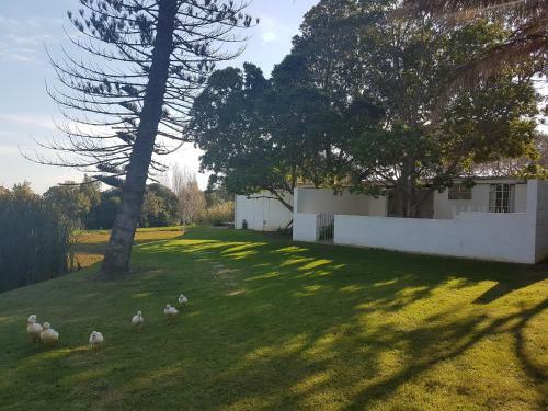 Villa Chelaya Country Lodge