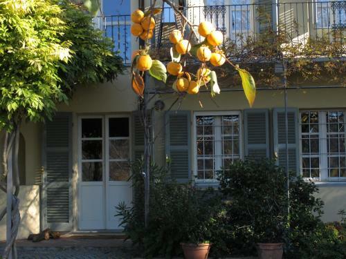 Sotto La Luna Bruna B&B