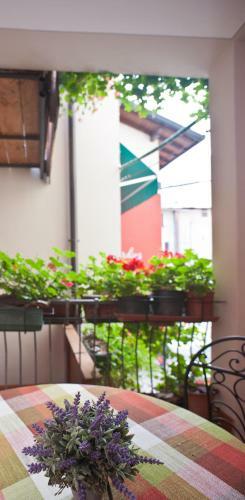 B&B Il Pettirosso