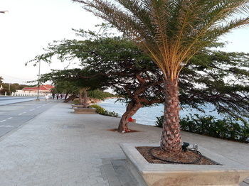 Aparthotel Le Chateau Ocean Villas
