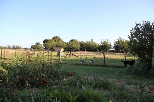 Bed & Breakfast Haute Perche
