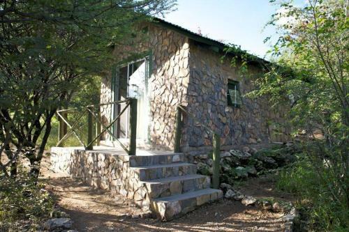 Lodge Sasa Safari Camp