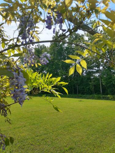 Agroturismo Casa Vacanze Riviera Del Brenta
