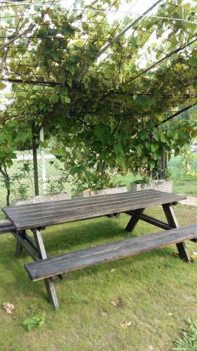 Agroturismo Casa Vacanze Riviera Del Brenta