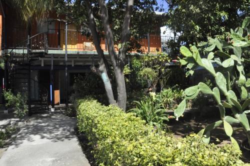 Hostal Esgueva House