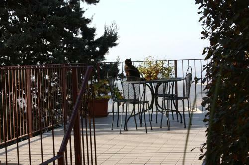 Agroturismo Agriturismo Il Cortile