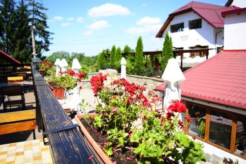 Hotel Complex Hanul Muresenilor