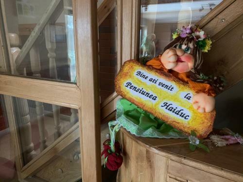 Hostal Pensiunea Haiduc