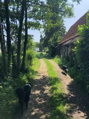 Hof Ter Sysen