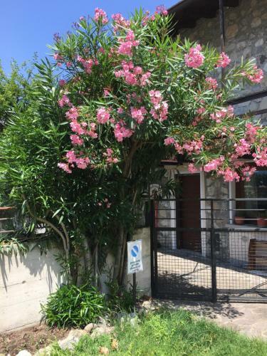 Apartamento Antica Casa Fenaroli