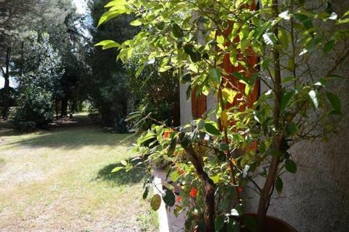 Hostal Agriturismo Podere Campalto