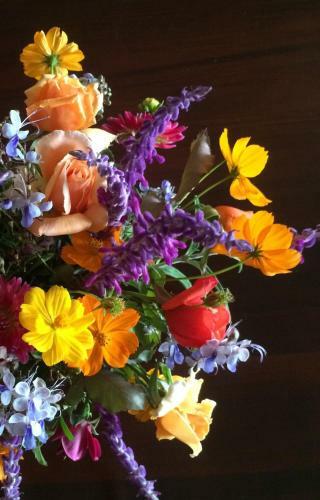 Mudgee Homestead Guesthouse