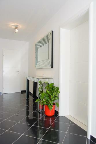 Apartment Cambi