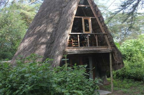 Lodge Oasis Eco Camp