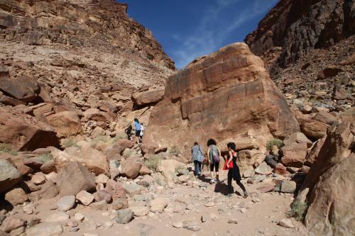 The Bedouin Meditation Camp
