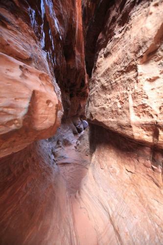 The Bedouin Meditation Camp