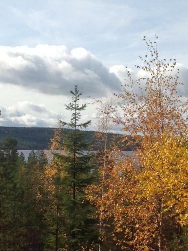Lodge Tyngsj� Vildmark