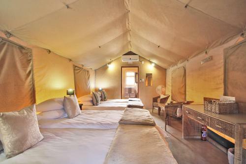 Hotel Frontier River Resort