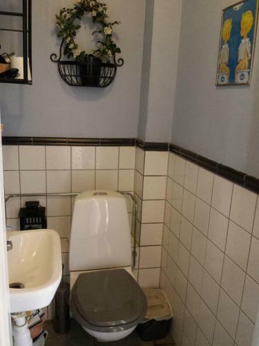 H�sten Och Hunden B&B