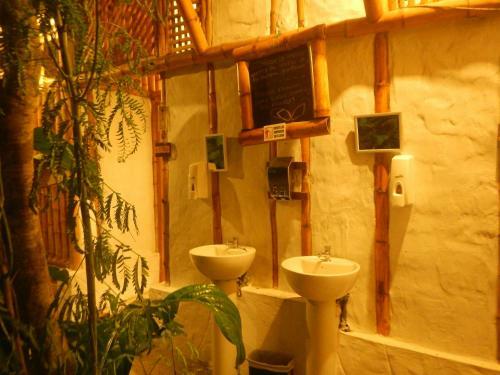Hostal Cabalonga Ecoadventure