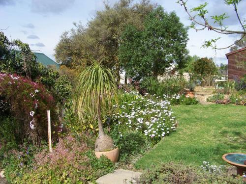 Agroturismo Lemontree Cottage