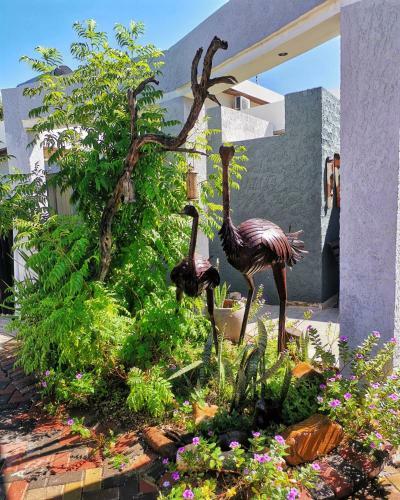Hostal Guesthouse Terra Africa