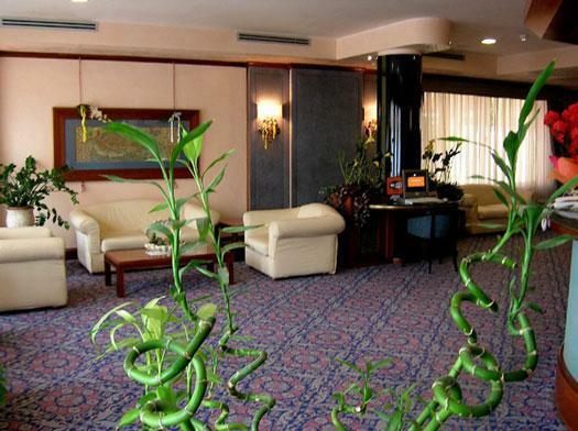 Hotel Mondial