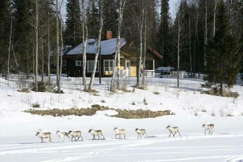Hostal Simojoen Er�kartano