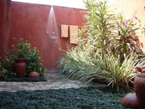 Bed & Breakfast Ambience Inn