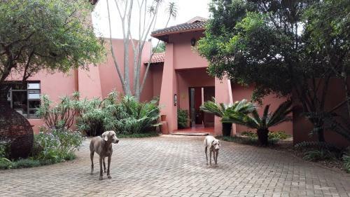 Bed & Breakfast Ambience Inn
