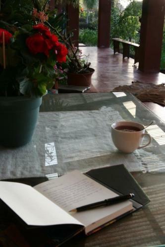 Bed & Breakfast Ambience Inn
