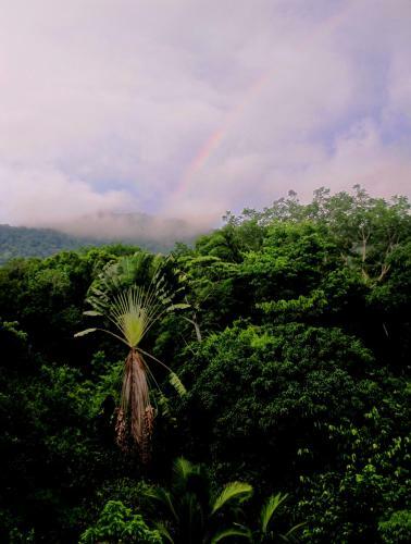 Omega Tours Eco-jungle Lodge