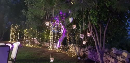 Demetriou Paradisos Hills Hotel