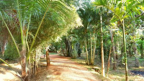 Hotel Soba Lanka Holiday Resort