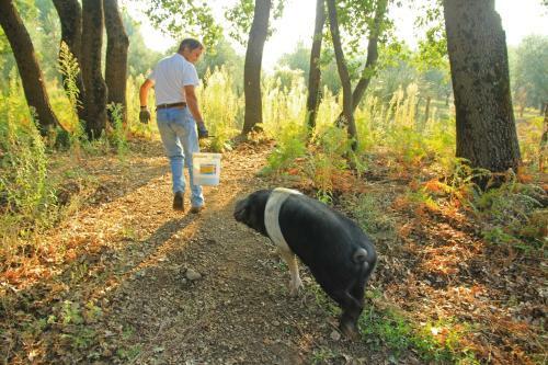 Bed & Breakfast Locanda Pantanello