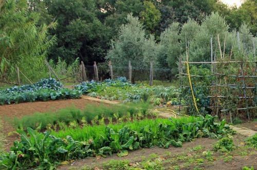 Bed & Breakfast Locanda Pantanello