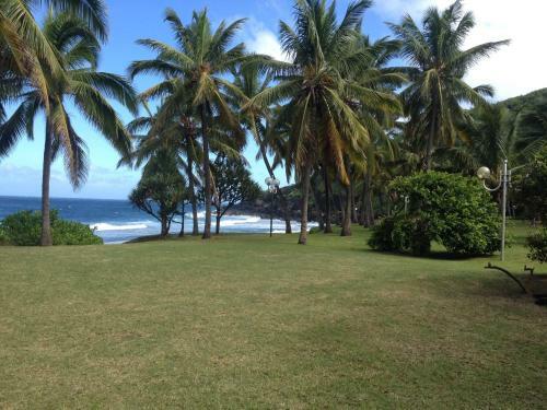 Bed & Breakfast La Rose Du Sud