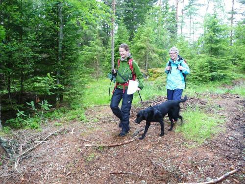 Bed & Breakfast Kynnefj�llsnatur