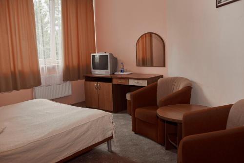 Motel Viking Karpaty