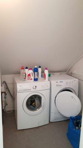 Nex� Modern Hostel. Private Rooms