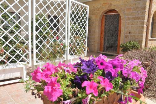 Agroturismo Stella Dei Campi