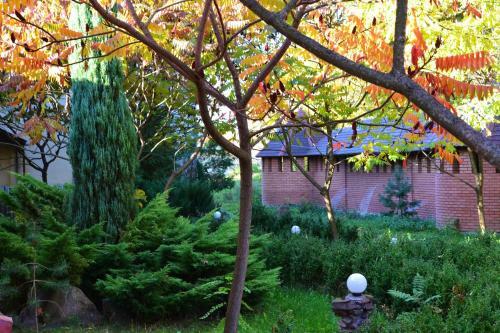Hotel Zabava Guest House