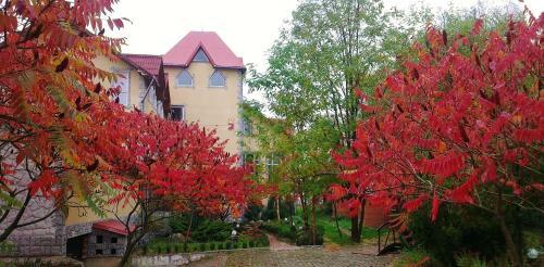 Hotel Zabava Guest House