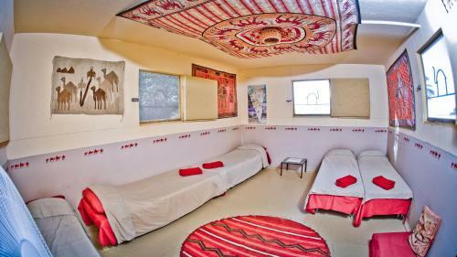 Albergue Negev Camel Ranch