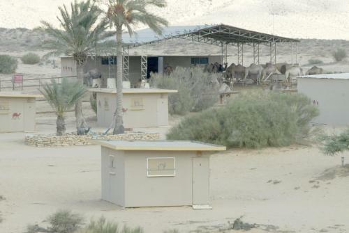 Albergue Negev Camel Ranch