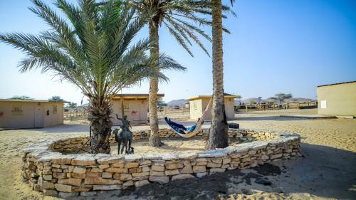Albergue Negev Camel Ranch